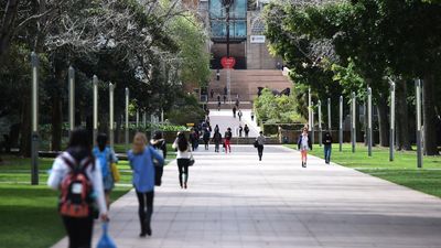 University boss calls international student cap 'chaos'