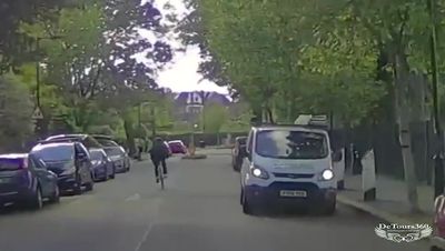 Spate of 'frightening' crow attacks in south London neighbourhood