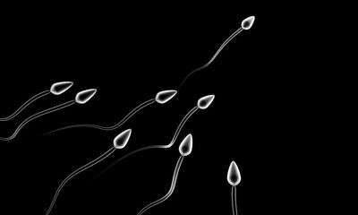 Stable sperm counts in Denmark cast doubt on ‘spermageddon’ fears