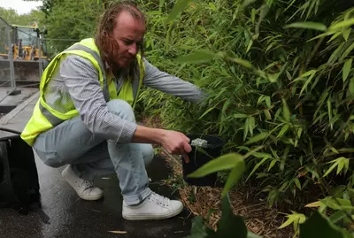 As France braces for 15 million Olympics visitors, its ‘dengue detectives’ are hunting for tiger mosquitoes to prevent an outbreak