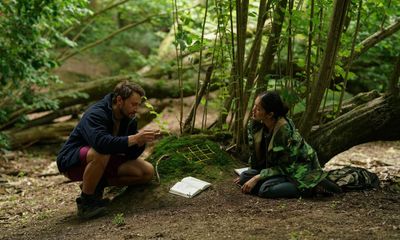 Here review – romantic connection in the forest in gentle and beguiling drama