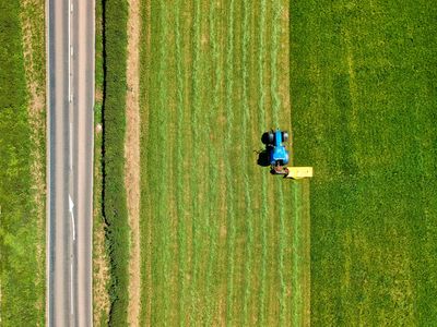 UK Farmers Face Post-Brexit Struggles: Rising Costs, Bureaucracy, and Environmental Policies