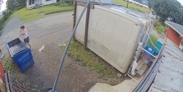 Two people are arrested after horror video shows woman throwing puppies in dumpster