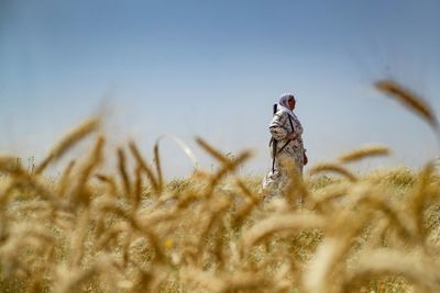 Armed Syrian Kurdish Women Stand Guard Over Precious Wheatfields