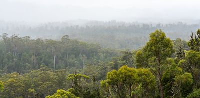 A fierce battle is being fought in the soil beneath our feet – and the implications for global warming are huge