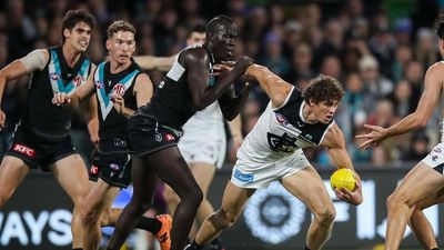 AFL coaches pleased with holding-the-ball clarification