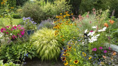 Summer container ideas – 11 seasonal looks for colorful pots and planters