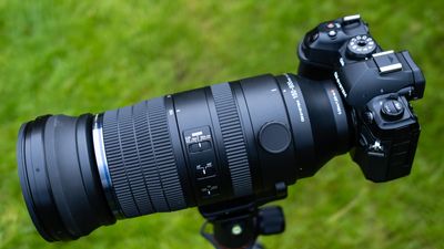 OM System M.Zuiko Digital 150-600mm F5.0-6.3 IS review: double your reach
