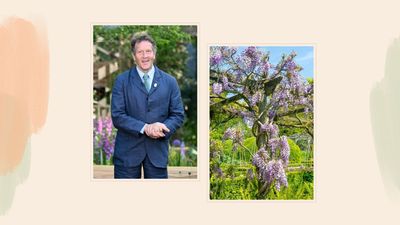 Monty Don says we should prioritise pruning this 'vigorous' garden plant now it's June