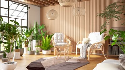 5 Feng Shui Plants for Your Living Room — What to Pick to Bring Positive Energy Into This Important Space