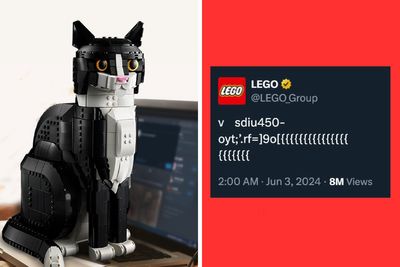 LEGO Goes Viral After It Looks Like Their Twitter Account Was Taken Over By A Cat