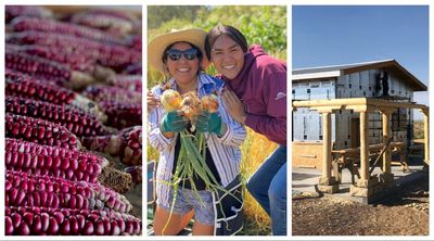 ‘A sanctuary’: how neglected Native American communities are organizing their own food hubs