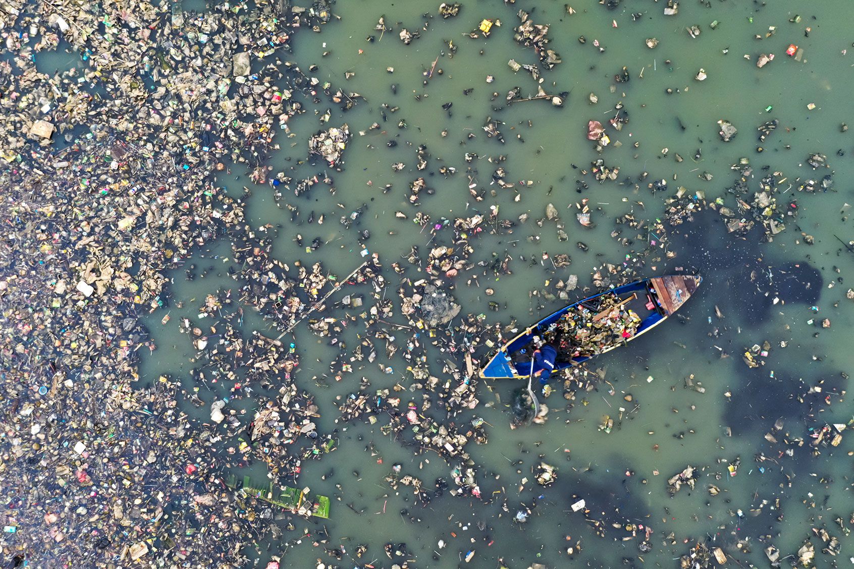 Scientists Report Plastic-eating Fungus