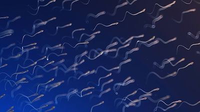 This Experimental Male Birth Control Works Even Better Than Expected