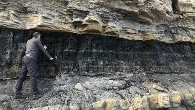 Rare-earth elements could be hidden inside coal mines