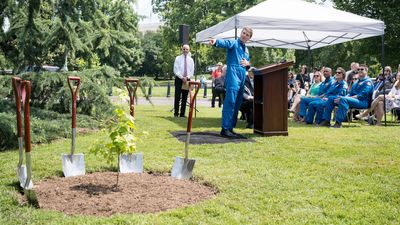 'Most unique tree here:' Artemis Moon Tree planted at US Capitol