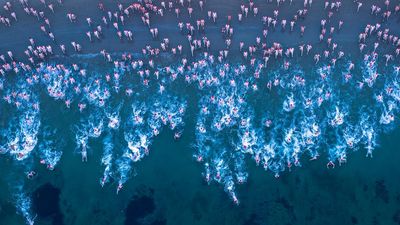 Ideas brewing for Dark Mofo's rejuvenation