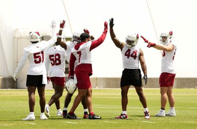 Cardinals shorten mandatory minicamp for players