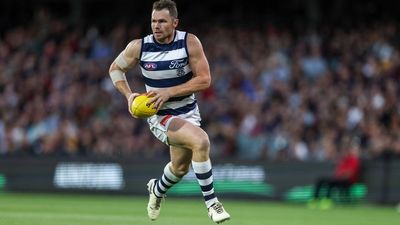 Cats hope patience sets up Dangerfield to thrive
