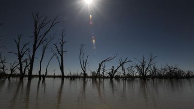 $14m Murray Darling ads under fire for Turkey image