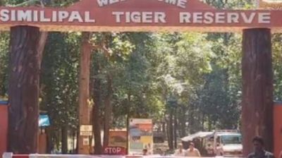 Similipal Tiger Reserve to remain closed for tourists from June 12