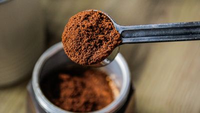 Are coffee grounds good for plants? We reveal all about this eco-friendly plant fertilizer