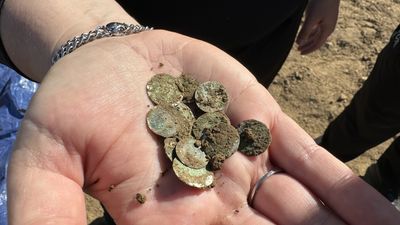 'Jackpot' of 2,000 early-medieval coins discovered by hiker in Czech Republic