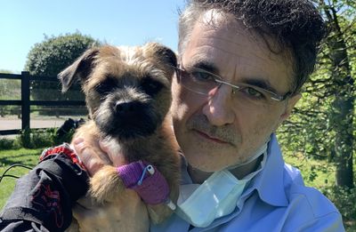 The Supervet 2024: release date, host, animals, epsiodes and everything we know