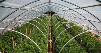 3 AgTech Stocks Cultivating Buy Opportunities