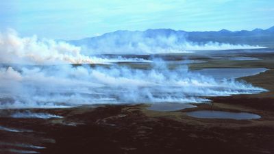 Arctic 'zombie fires' rising from the dead could unleash vicious cycle of warming