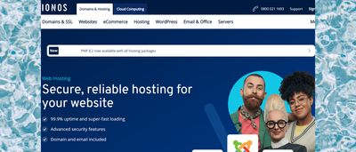 IONOS web hosting review