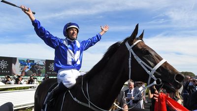 Champion racehorse Winx immortalised in new documentary