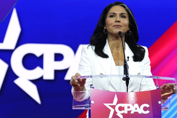 Tulsi Gabbard pitches a new role for herself: Trump’s defense secretary