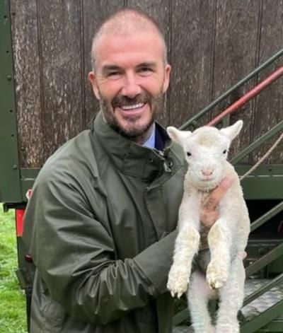 David Beckham's Heartwarming Moment With Baby Goat