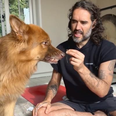Russell Brand's Heartwarming Moment With Beloved Dog