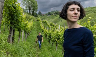 From parched earth to landslides: crisis in the prosecco hills of Italy