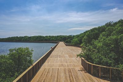 Eco-park Ciénaga de Mallorquín protects fragile mangroves and the beauty of Colombian wildlife