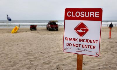 Sharks attack three swimmers off two Florida beaches