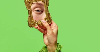 Ask Fuzzy: How does a mirror work?
