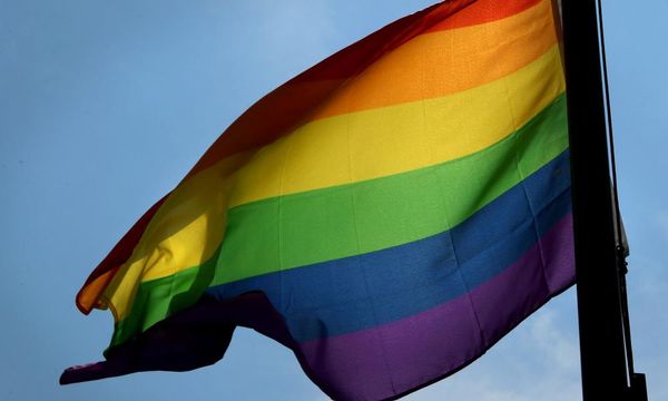 Pride flag in window of Oregon library apparent target of BB gun attack