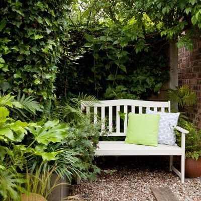 6 garden corner shade ideas that will transform and brighten up even the darkest of areas