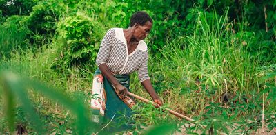 Farming with a mixture of crops, animals and trees is better for the environment and for people – evidence from Ghana and Malawi