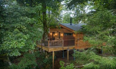 Fresh air B&B: after yurts and huts, now treehouses are glampers’ favourites