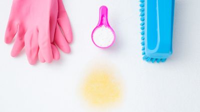 How to clean urine from a mattress — 7 pro tips for removing stains and smells