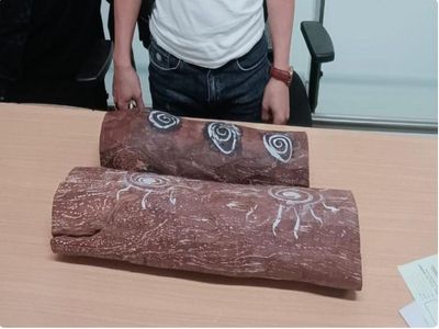 CISF nabs Vietnamese National with prohibited red sandalwood worth Rs 25 lakhs at Delhi Airport