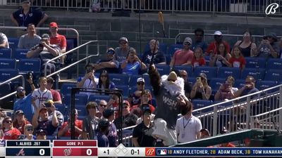 Braves-Nationals Game Got Off to Weirdest Start Thanks to a Flying Bat