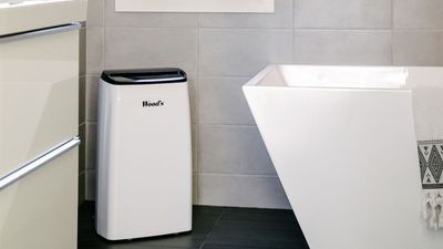 I tried the Wood's MDK26 dehumidifier in my damp cellar and it's a game-changer