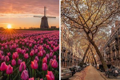 108 Pics That Prove The Netherlands Is One Of The Most Beautiful Countries