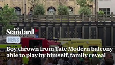 Boy thrown from Tate Modern balcony able to play by himself, family reveal