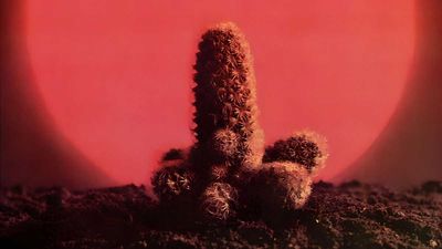 "There's nothing wrong with the Cactus debut - it's just that so many other albums circa 1970 did the same things better": Cactus's first album showed they had the chops but not the songs